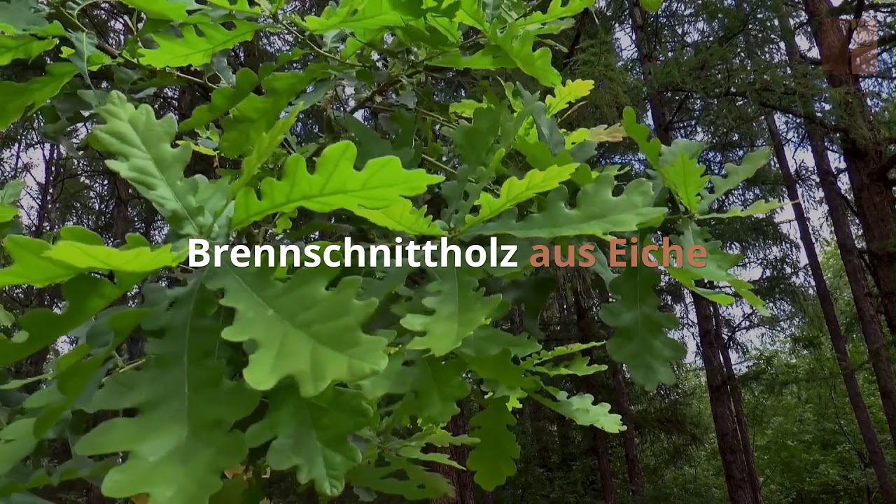 Heizmaterial f&uuml;r Holzheizung, Kaminofen & Co. kaufen