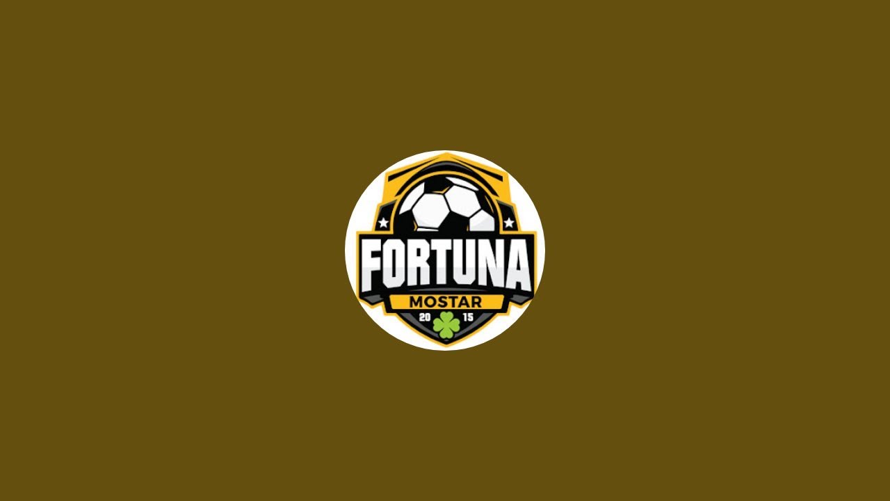 Novogodišnji turnir 2024 - UŠS FORTUNA MOSTAR  - ŠF Young Boys plavi