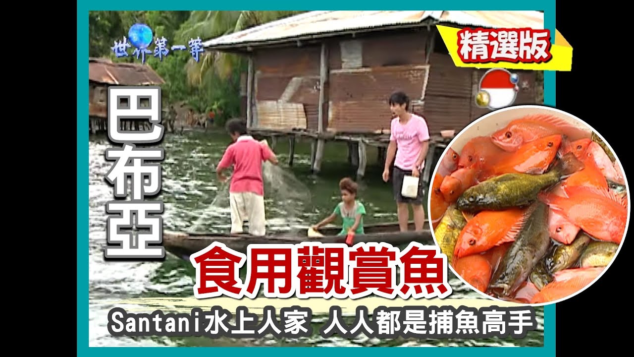 【巴布亞】Lake Santani 水上人家 一家大小都是漁獵高手｜《世界第一等》293集精華版