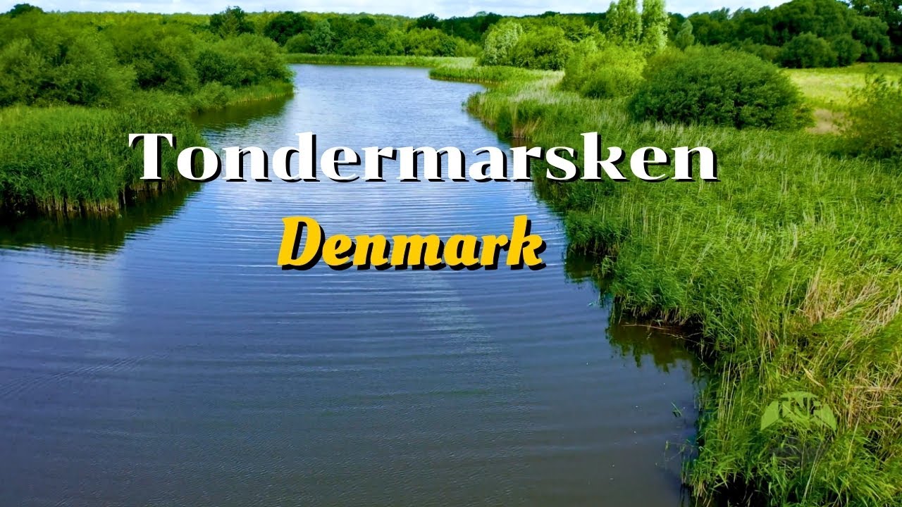 Tøndermarsken, Denmark in 4K Drone | Aerial View of Wetlands & Coastal Landscape