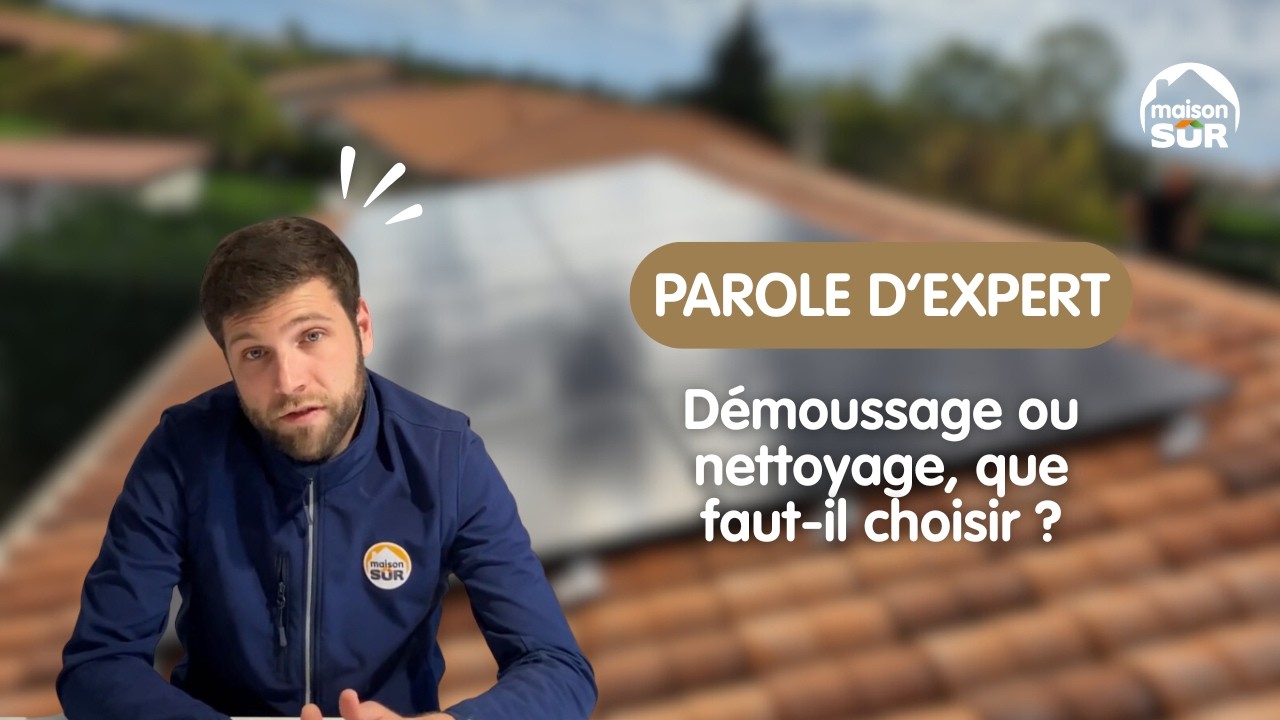 Démoussage ou nettoyage, que faut-il choisir ?