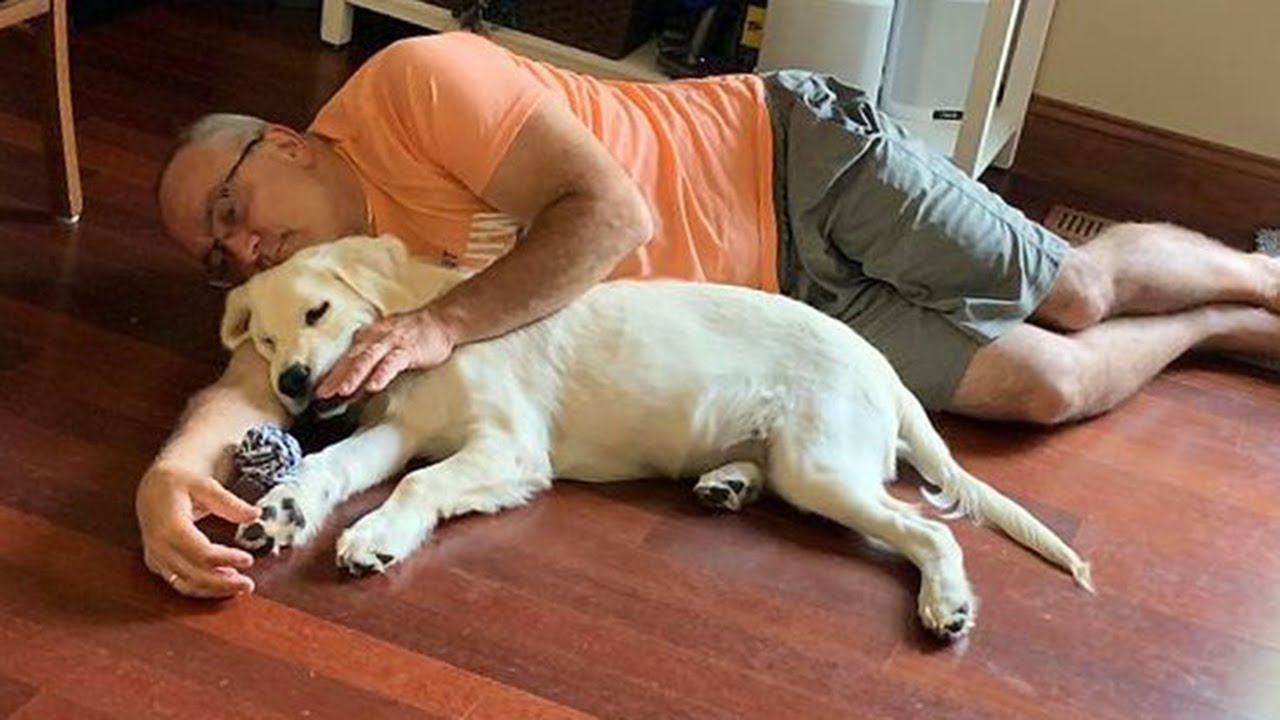 Когда твоя собака любит бабушку и дедушку больше, чем тебя 😂🐶 Самое смешное видео про собак и людей!