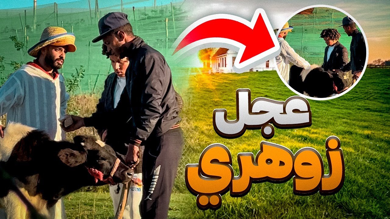 شريت عجل زوهري بعشرة مليون😱😂