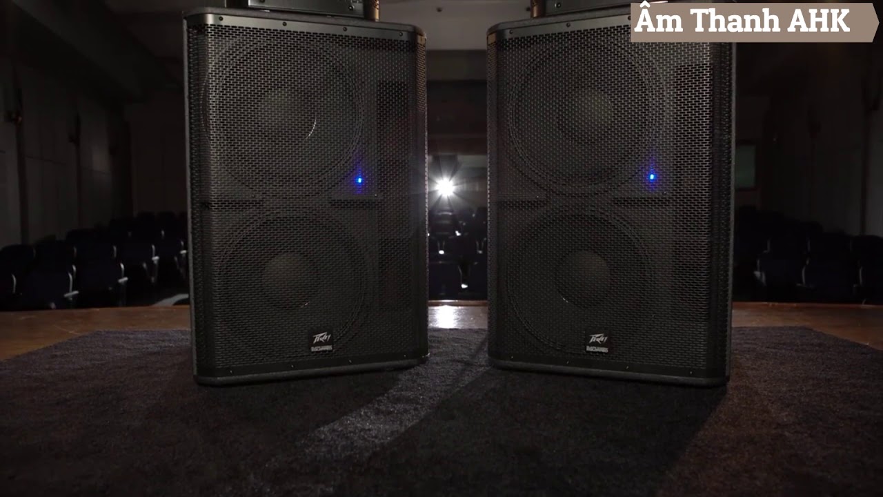 Loa Peavey RBN110, 112, 215, 118