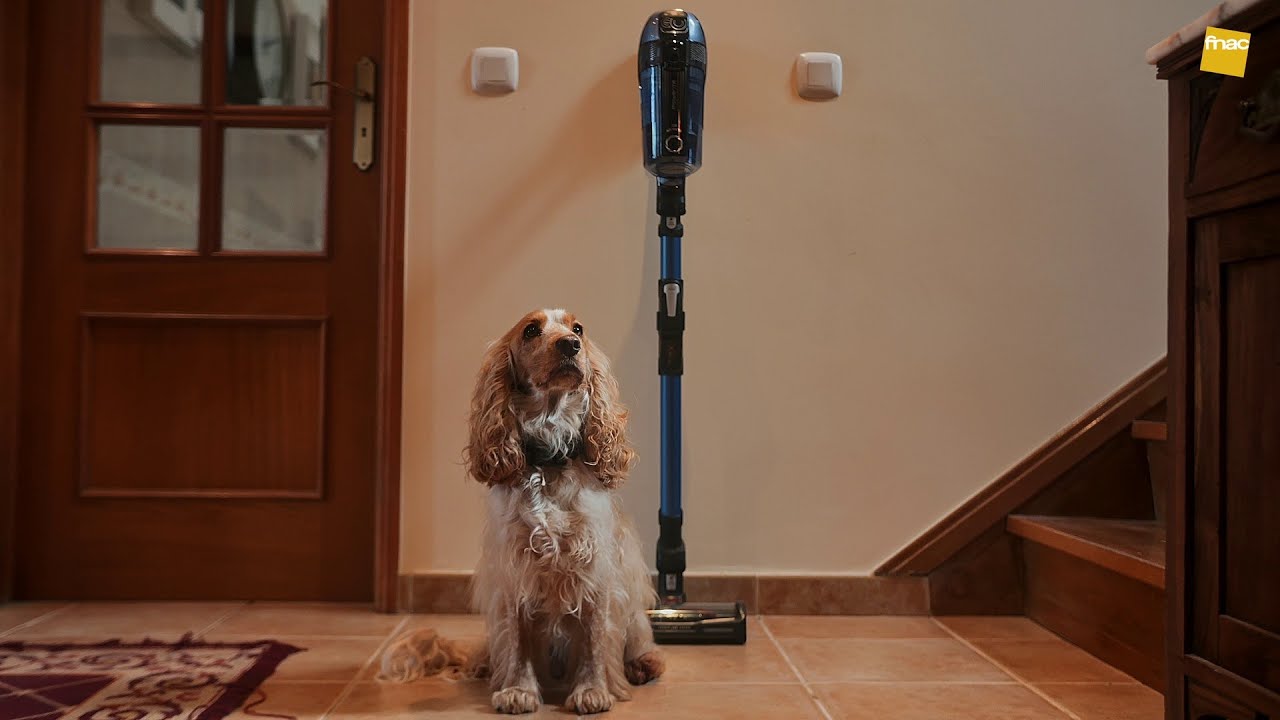 Aspirador Vertical: Rowenta X-Force Flex 12.6 Animal Care Aqua