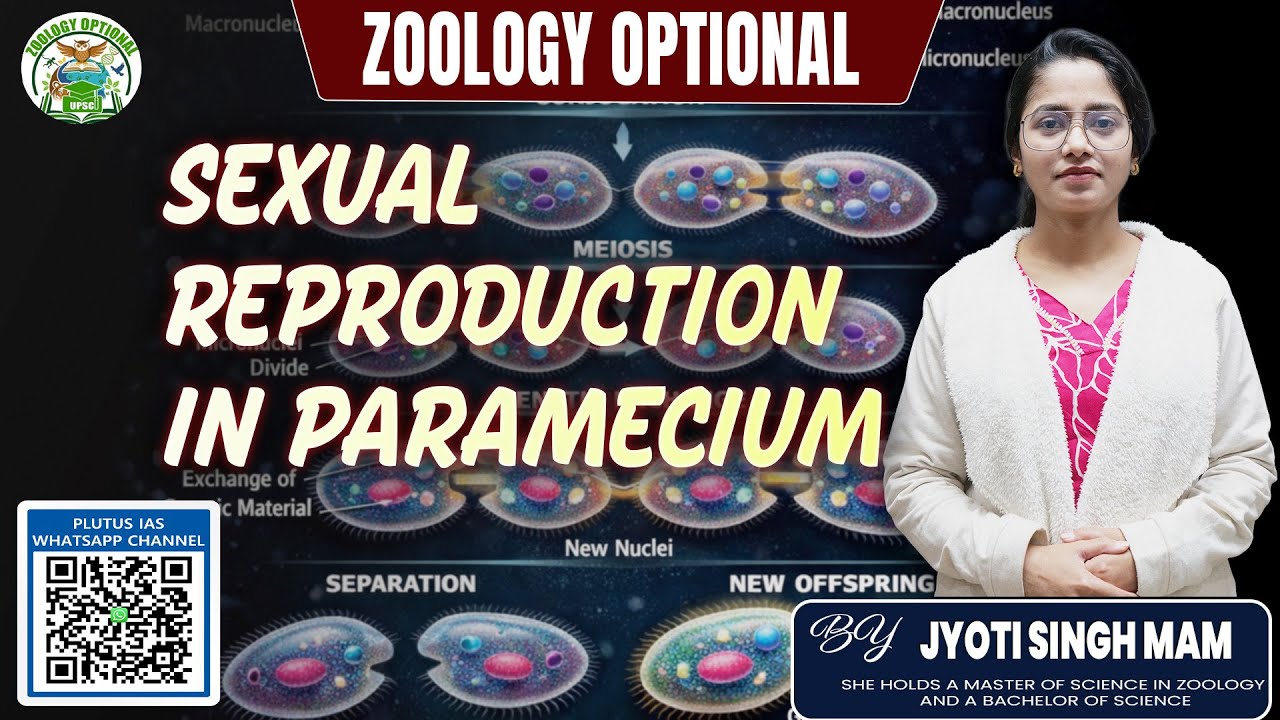 Sexual Reproduction in Paramecium | Biology Concepts | By Jyoti Singh Mam | Plutus IAS