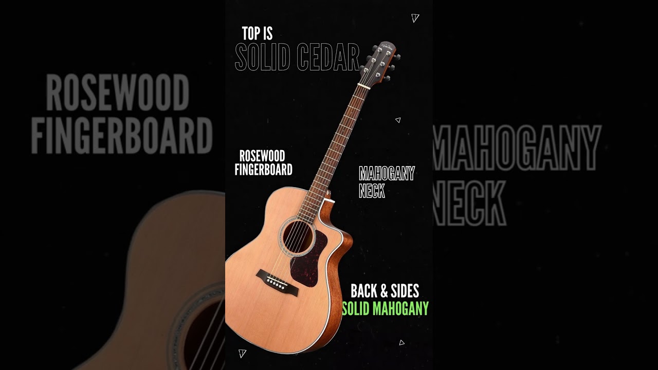 This is what the Walden Natura G770CE sounds like. - Guitars Are Being Strummed #shorts