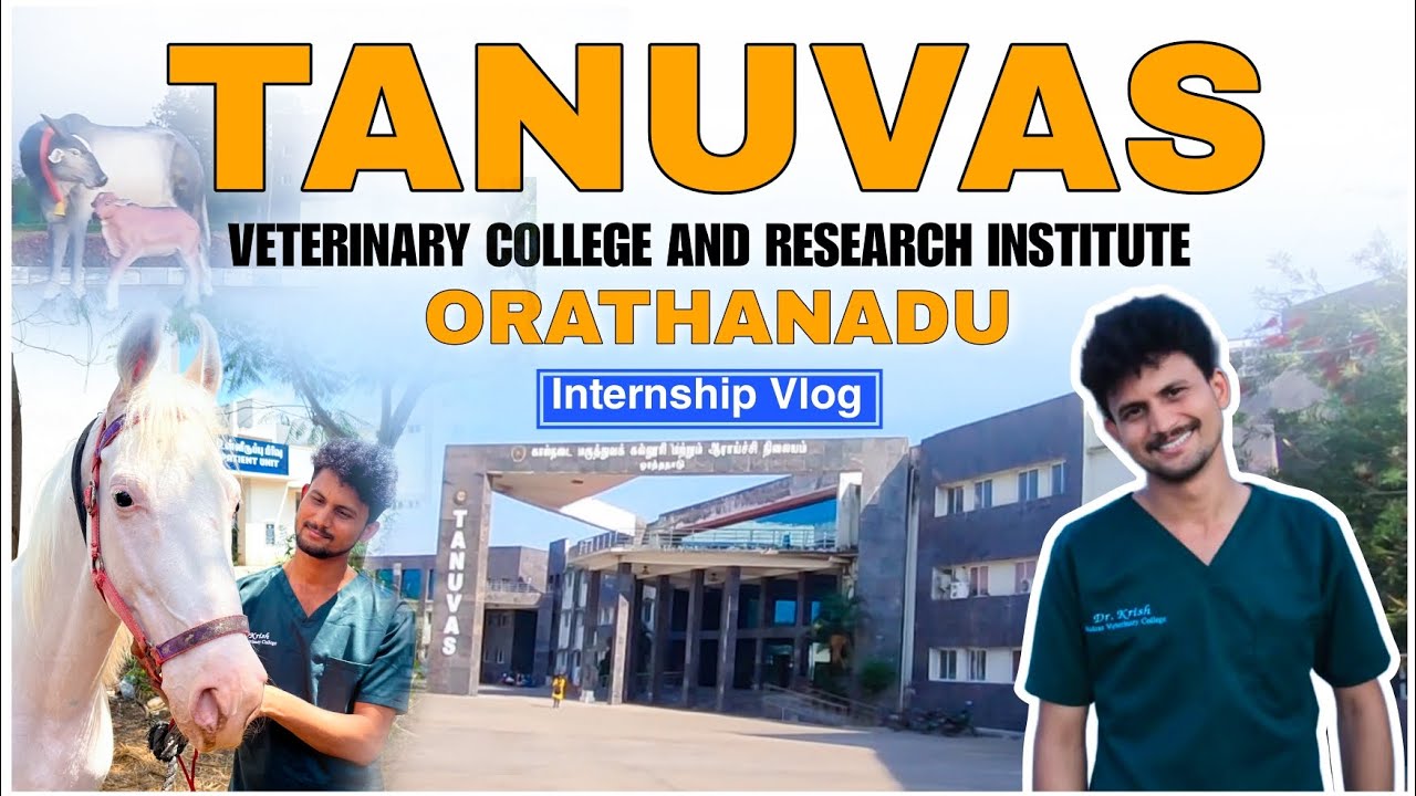 VCRI Orthanadu |Orthanadu Veterinary College Internship Vlog | TANUVAS | veterinary Internship