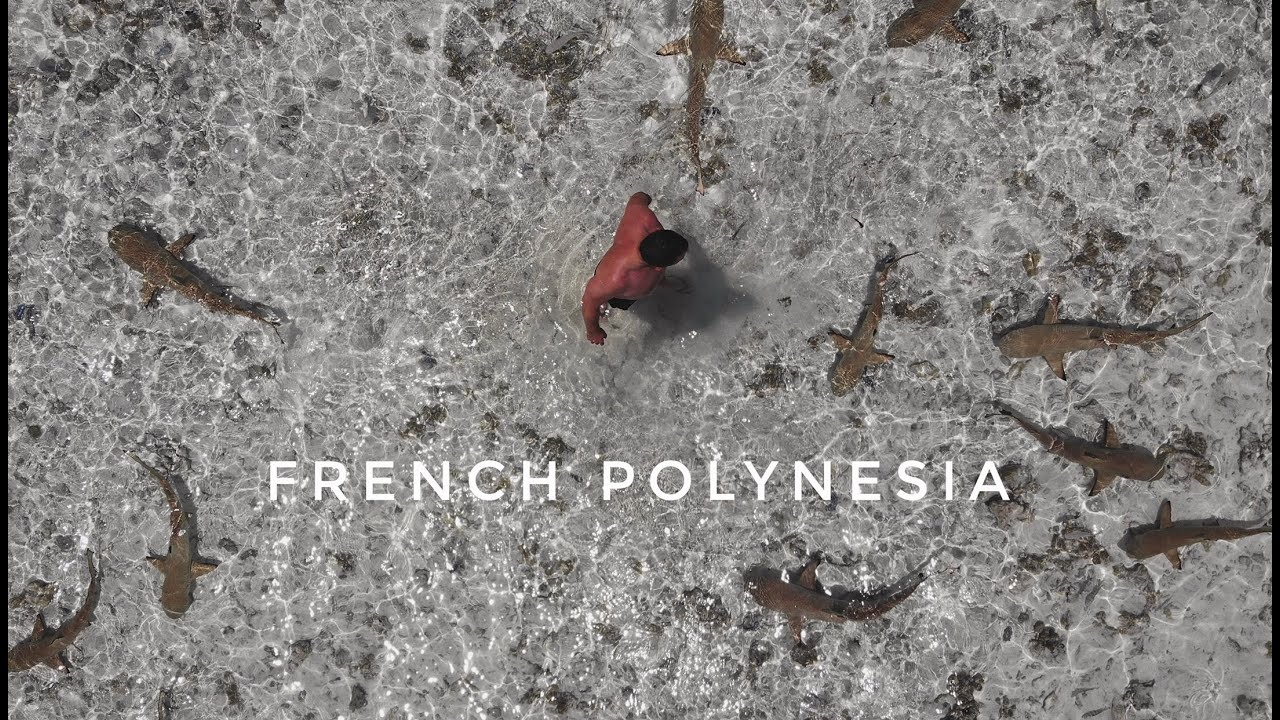 French Polynesia 2019 4k Tahiti, Huahine, Raiatea, Bora Bora, Rangiroa