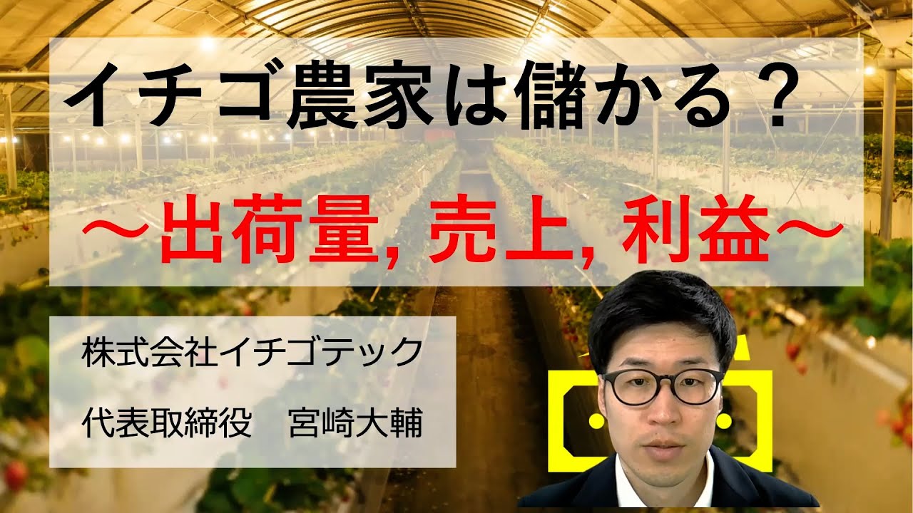 イチゴ農家は儲かる？稼げる？【いちご農園の出荷量, 売上, 利益率, 利益】ケース別シミュレーション