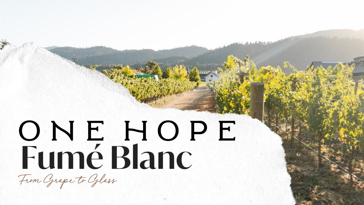 The Story Of ONEHOPE Fumé Blanc