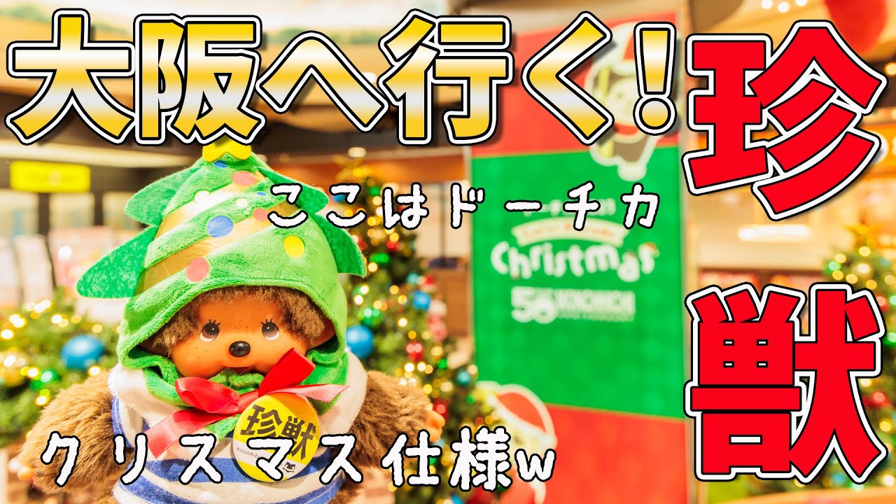 珍獣大阪に行く！モンチッチ連れて念願の大阪に行ったらクリスマスムードたっぷりでかわいすぎた件