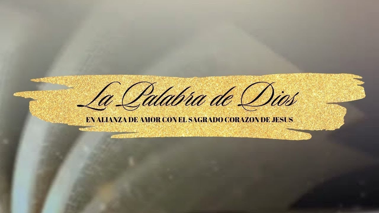 ¿Qué quieres que haga por tì?