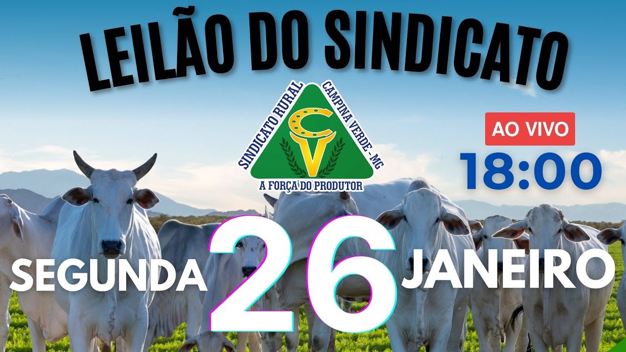 Leilão Sindicato Rural Campina Verde - 26 de Janeiro 2026