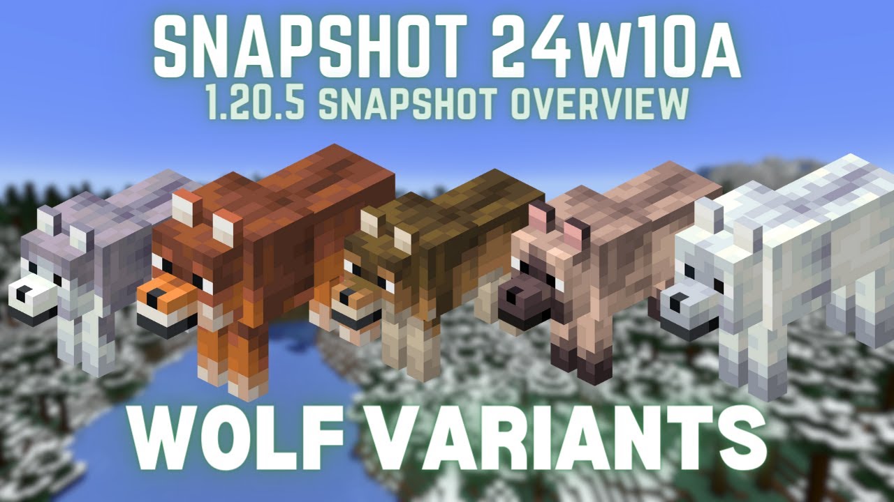 Mojang just added WOLF VARIANTS to Minecraft - 24w10a Snapshot Overview