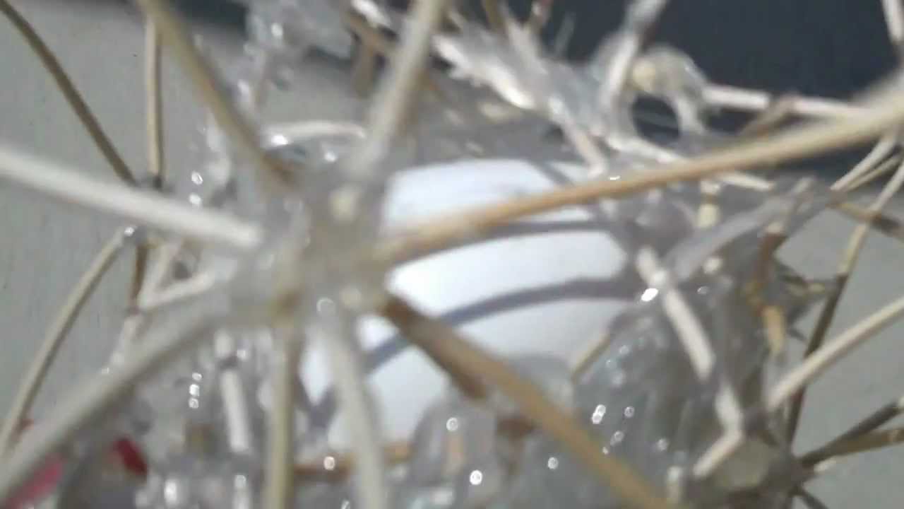 Physics Class Egg Drop Project