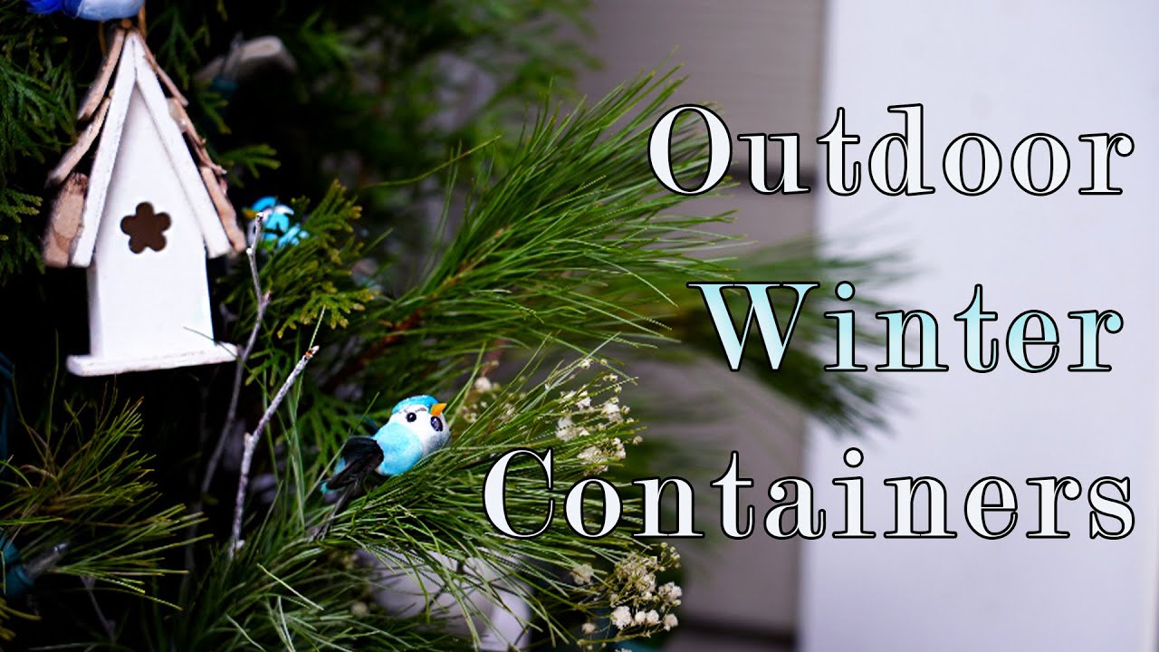 SMALL SPACE Outdoor WINTER Containers❄️  Simple Winter Porch - REPURPOSE - Winter Thru Spring!