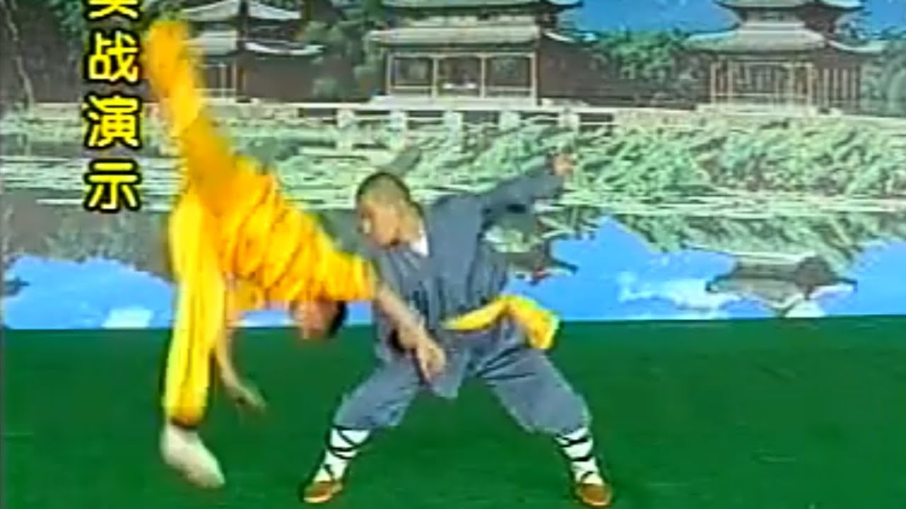 Shaolin Kung Fu: 38 fight techniques