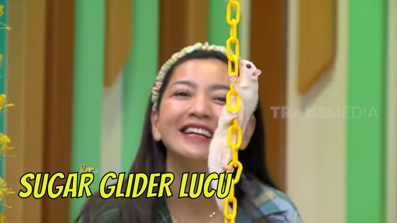 Main Sama Sugar Glider Yang Menggemaskan | BERCANDA PAGI (23/05/22) Part 3
