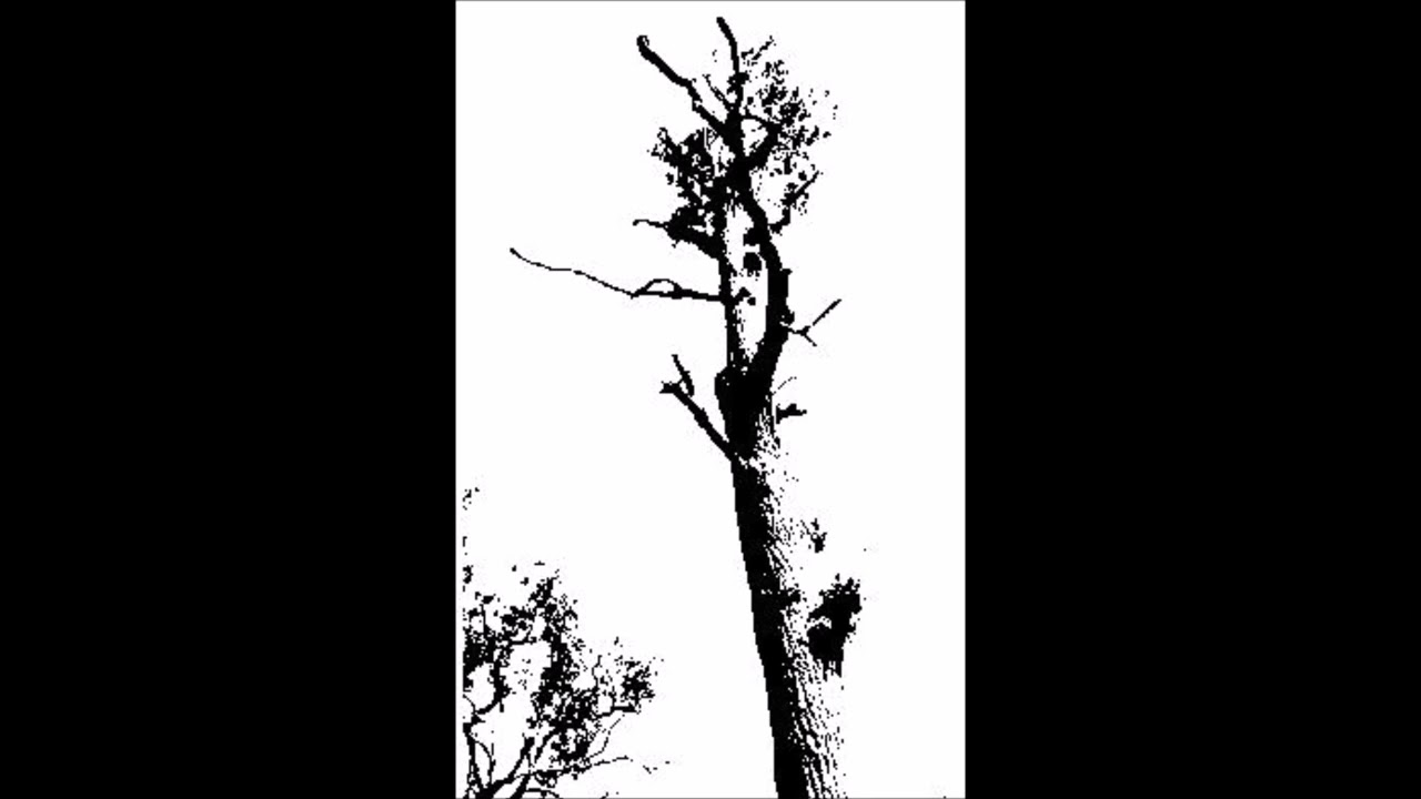 Forest Grave (UK) - Sorrow 2010 Full demo