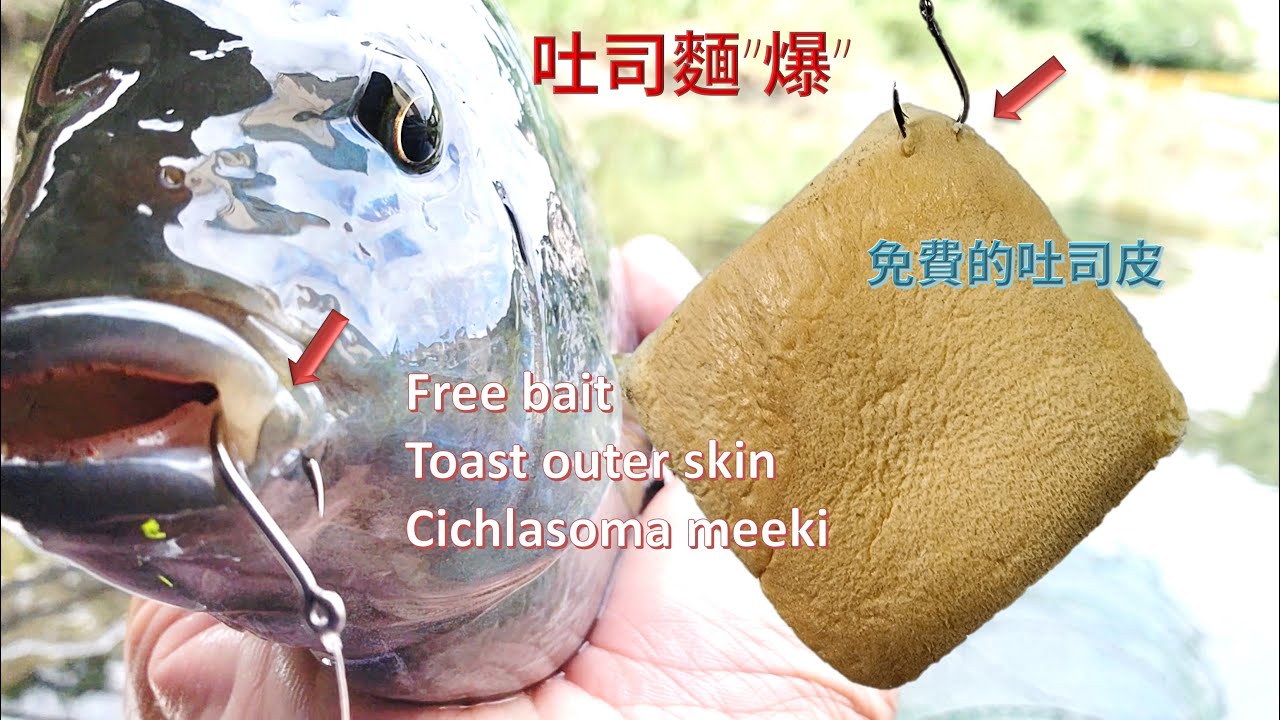 新手必學的釣法 