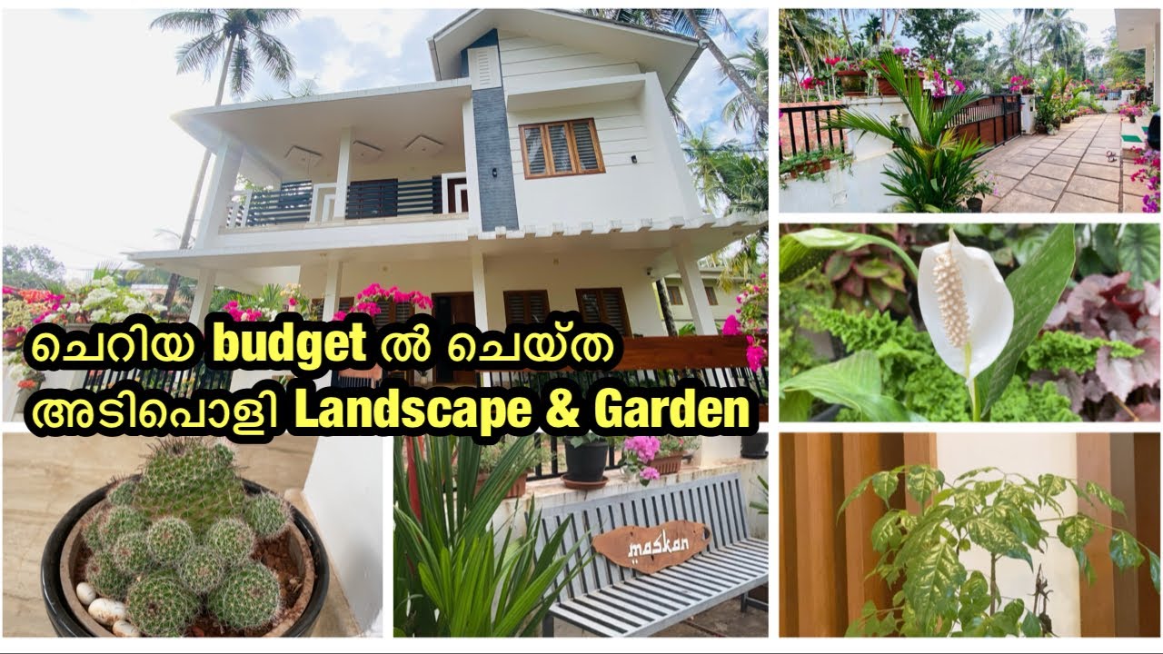 🌷🌵ആരും കൊതിച്ചു പോകും Home & Garden 🏡🌴 ~ പച്ചപ്പ് നിറഞ്ഞ ഒരു വീട് ✨🪻~ Home & Landscape Tour‼️