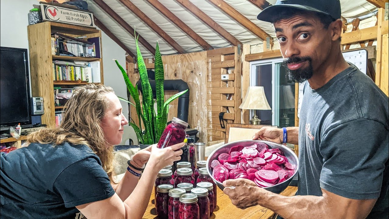 What Happened | FIRST TIME pickling BULL'S BLOOD Beets