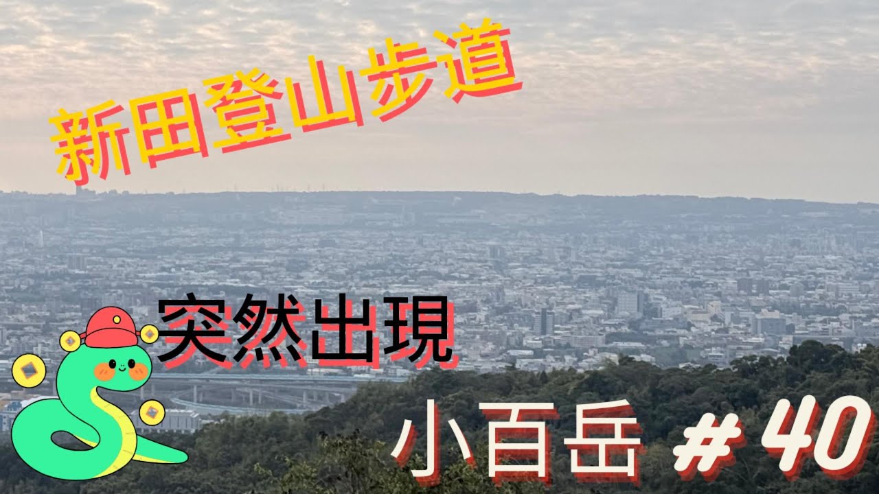 帶孩子爬小百岳，卻遇到蛇，台中新田登山步道遇到蛇，這條蛇你認得嗎？走到一半…牠就在前面#台中 #一日遊 #步道 #小百岳 #登山步道 #潭子 #大坑 #休閒 #健身 #健行