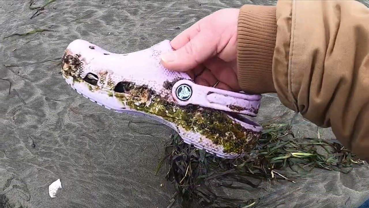 Beach Combing Container Ship Debris