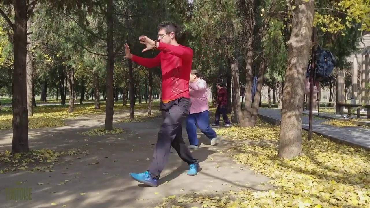 BaGuaZhang Stepping: A deep breakdown of Liang Style  fundamentals.