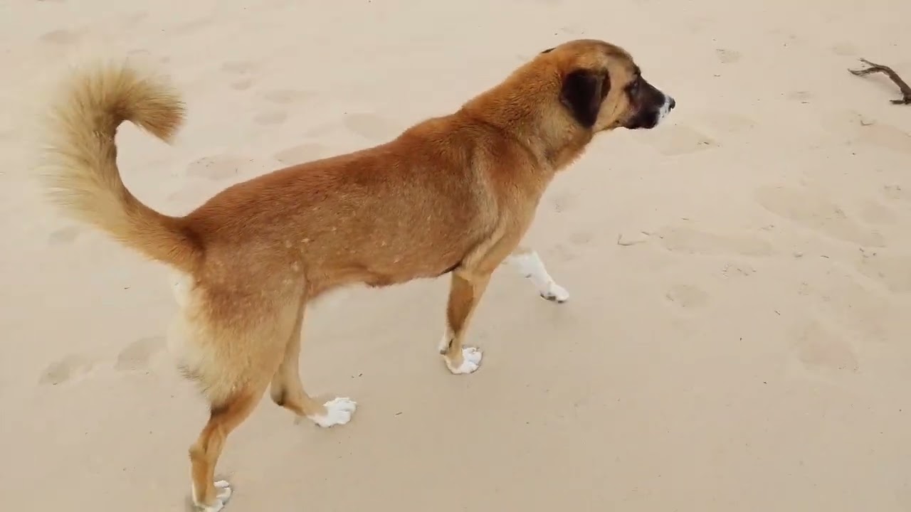 جوله في الجواء الحلوه في اصباح احلاا جووووو