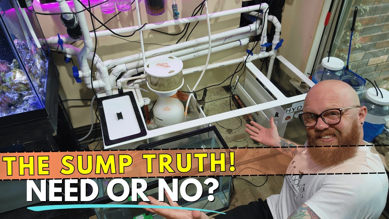 Everything You Need to Know About Reef Tank Sumps