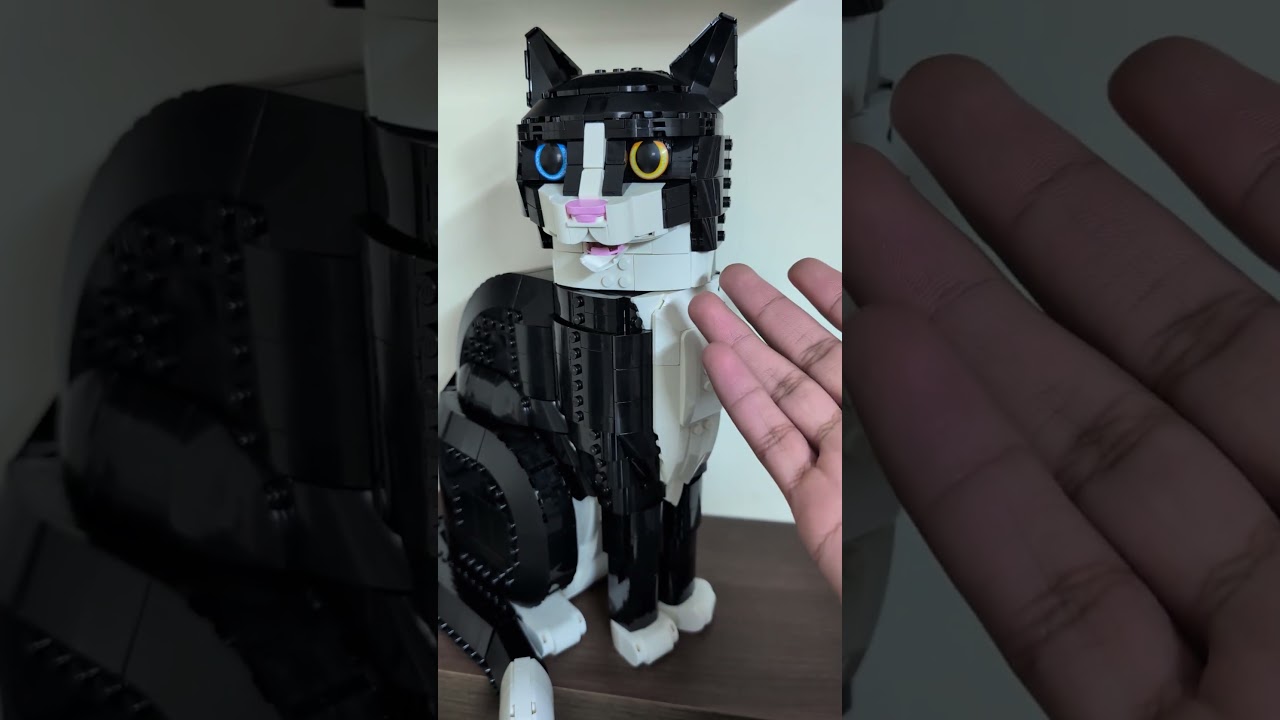 Meet Tux, LEGO Set 21349 - The Tuxedo Cat. Amazing build!