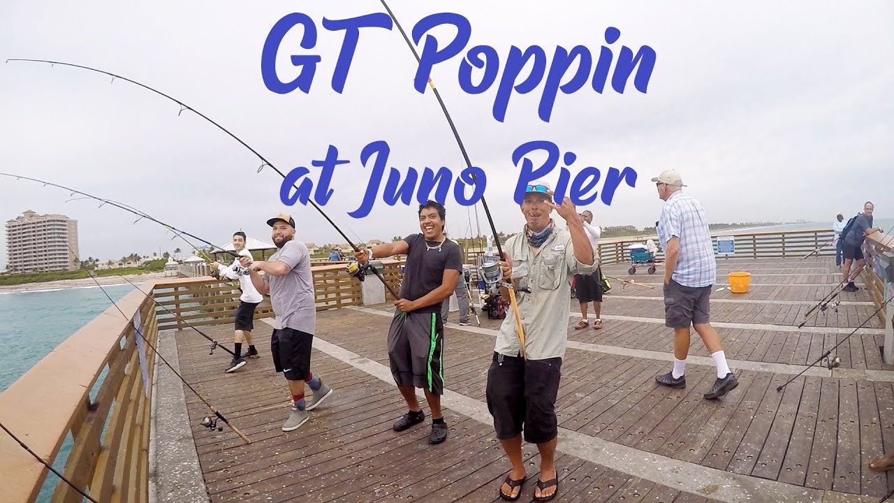 Big Jacks @ Juno Beach Pier