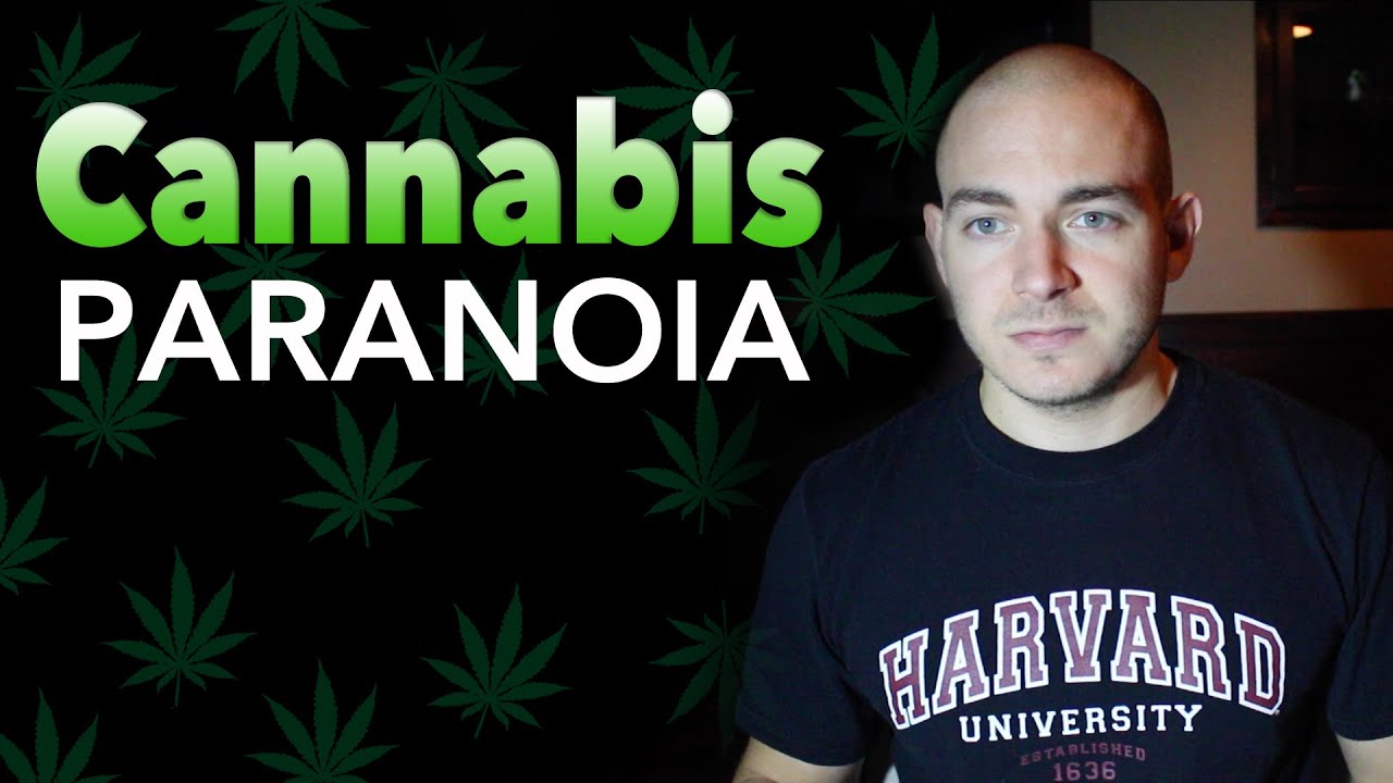 Паранойя каннабиса