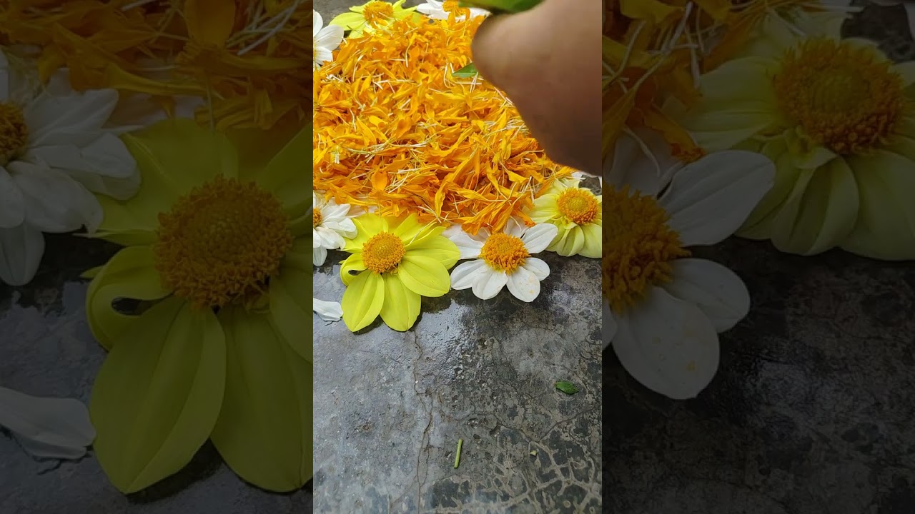 Flowers Rangoli design #subscribe #like #and#share #