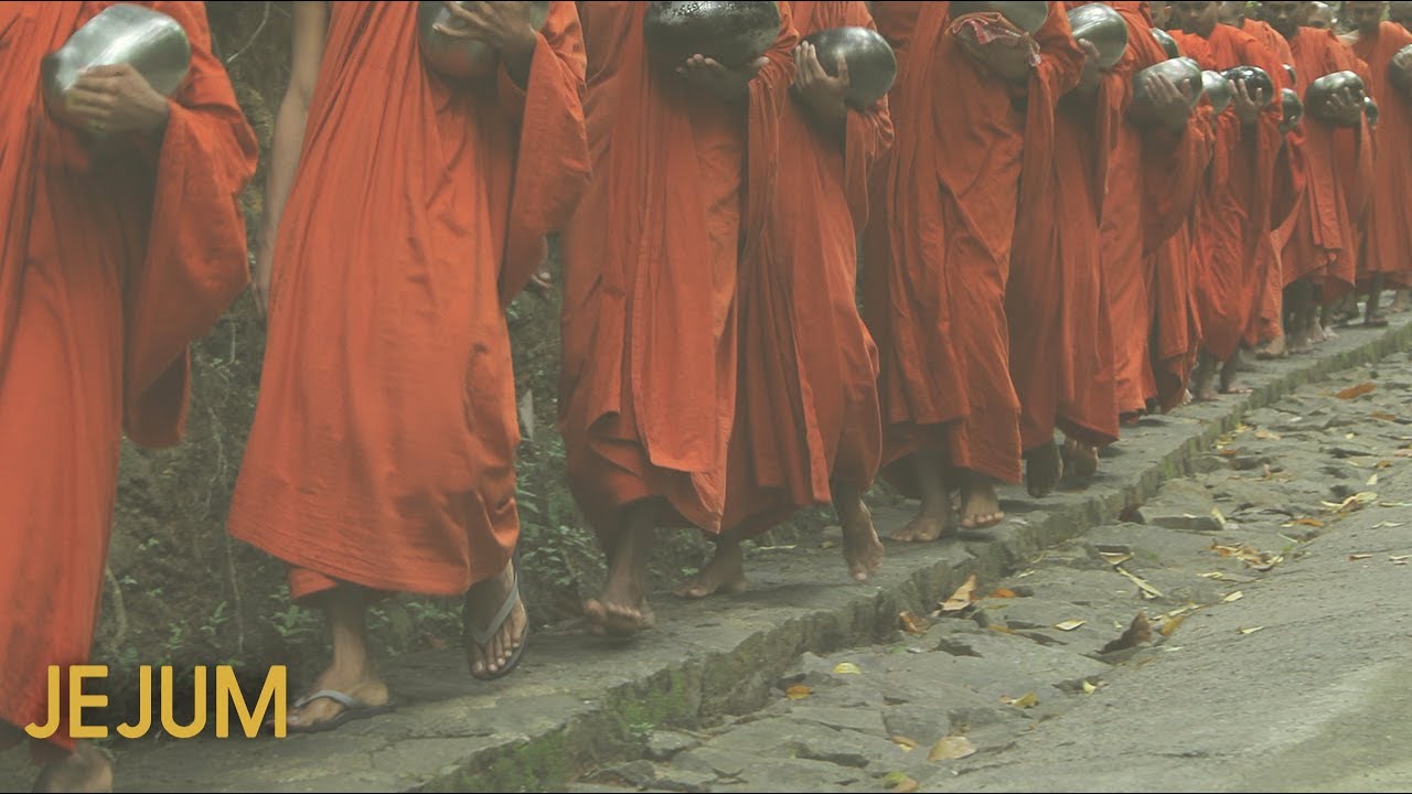 Sensibilidade | Monge Genshô