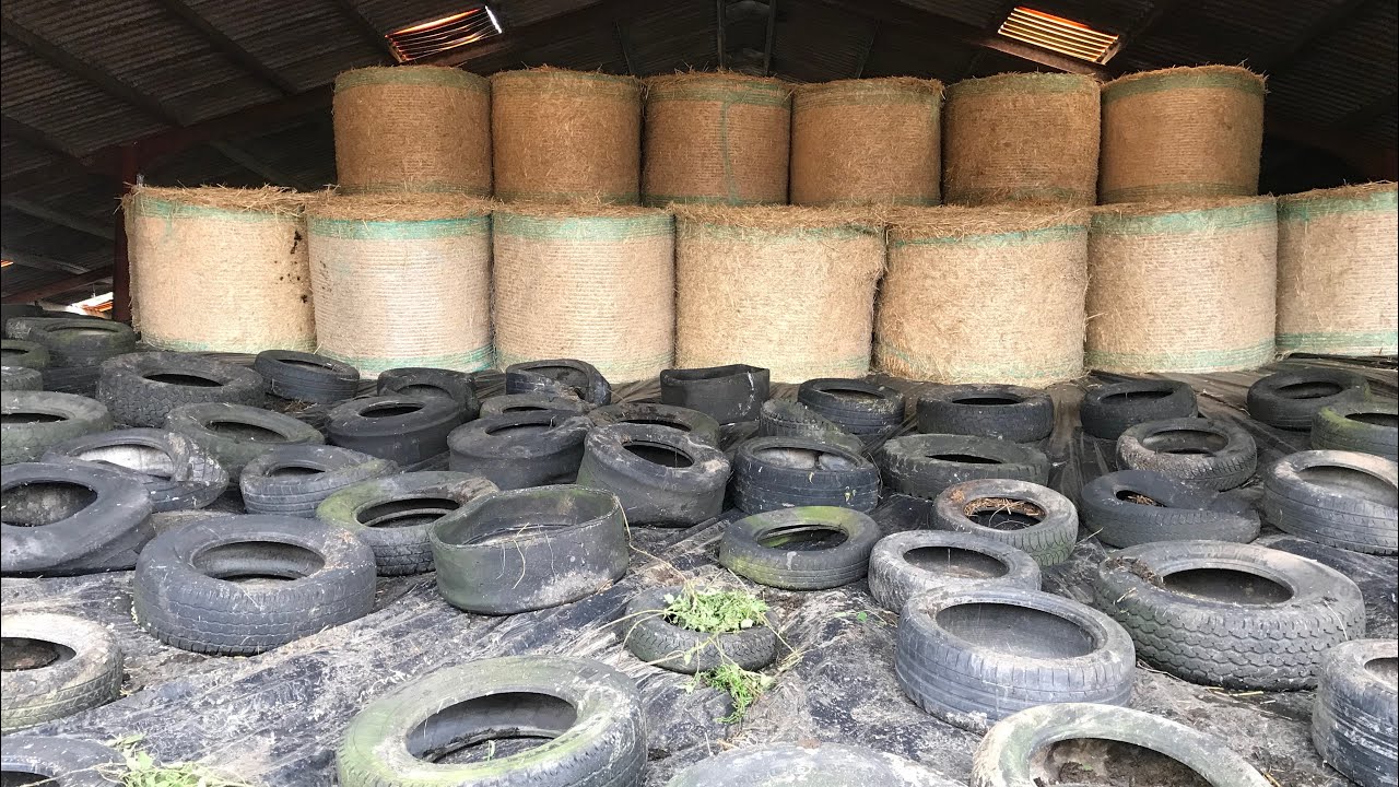 SHEETING UP THE SILAGE PIT