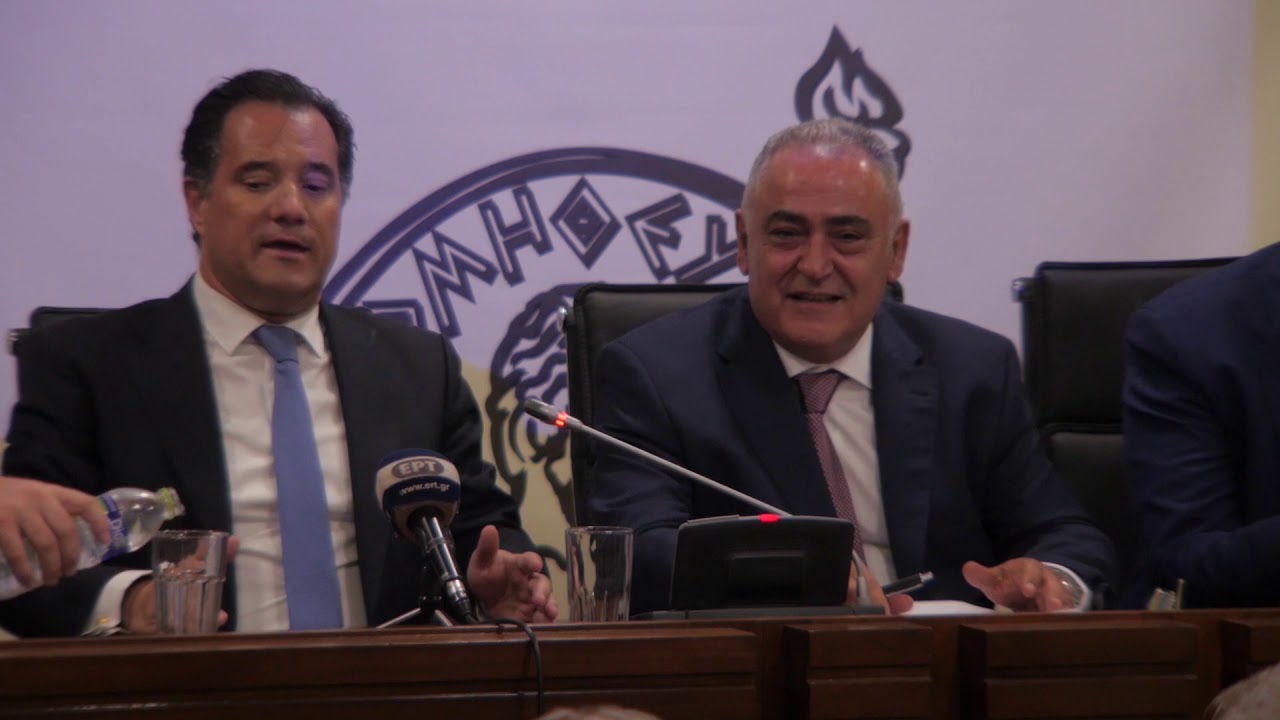 Ο Υπ. Ανάπτυξης Άδωνις Γεωργιάδης στο ΕΕΑ για θέματα επαγγελματιών