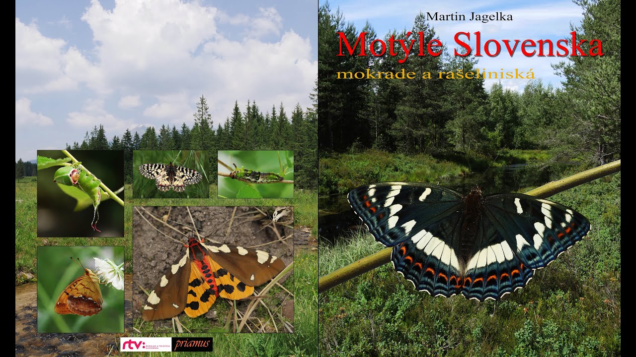 Motýle Slovenska - Mokrade a rašeliniská