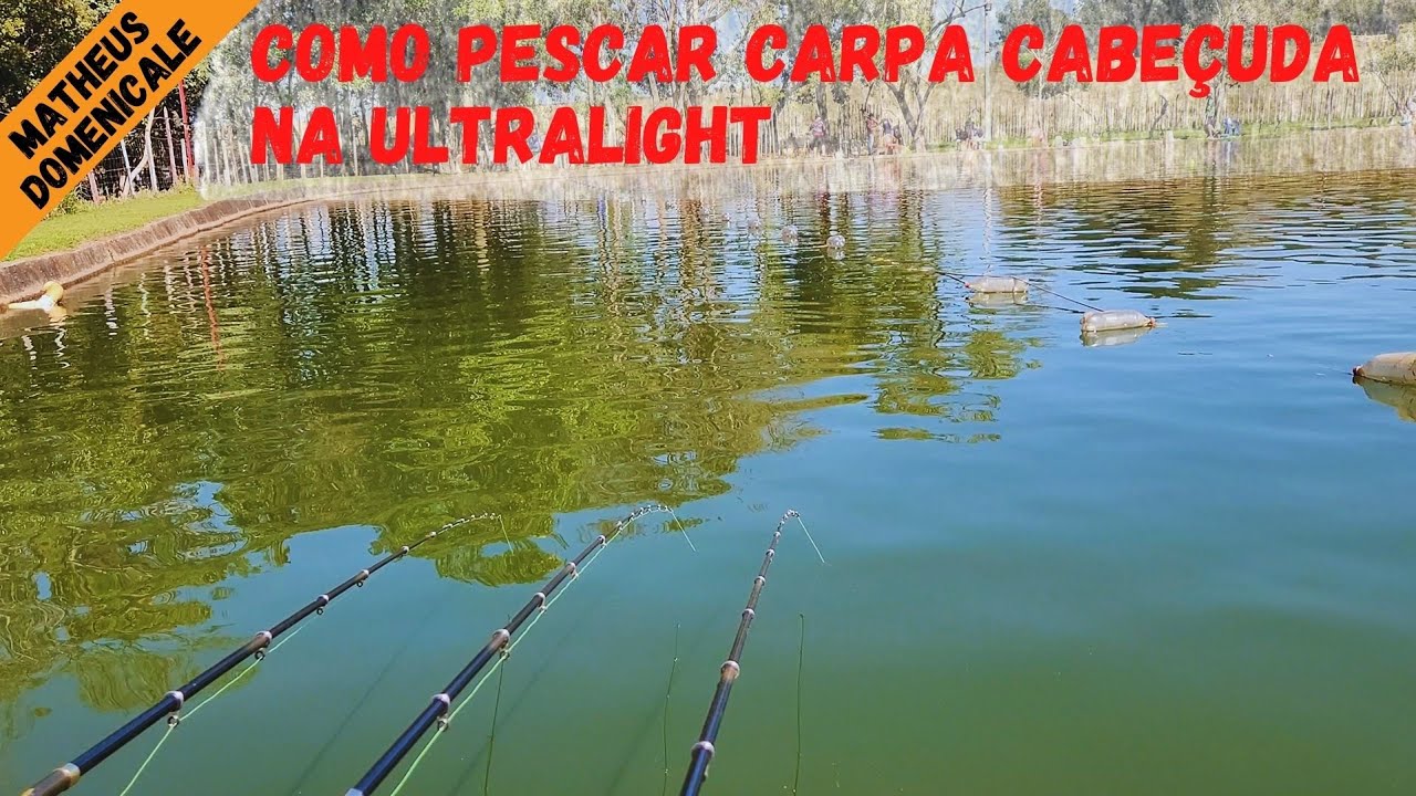 COMO PESCAR CARPA CABEÇUDA NA ULTRALIGHT - DICA DE PESCARIA