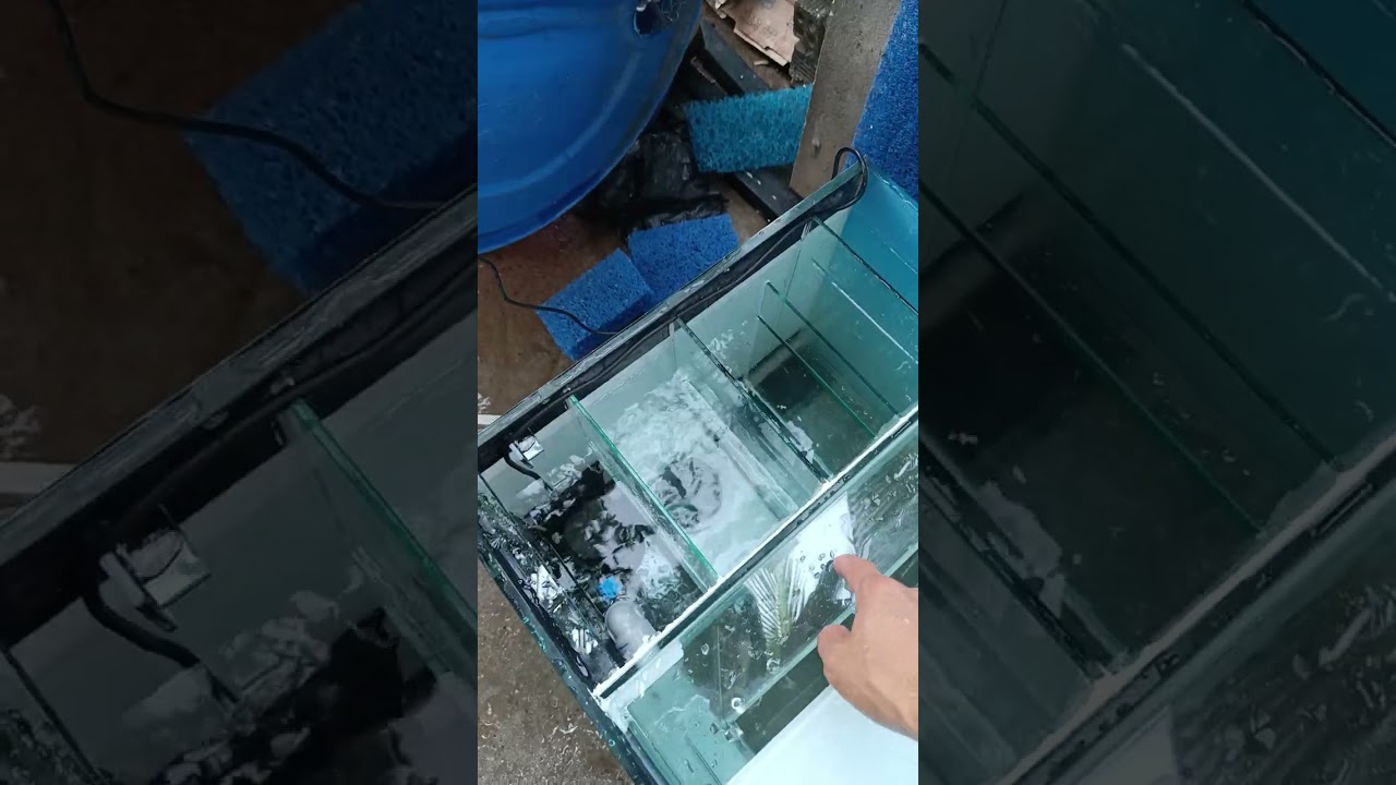 Hồ lọc vách siu phẫm 2025 ,thổi mặt  hút mặt siu êm
