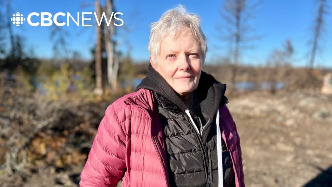 Flin Flon art exhibit highlights change, resilience after wildfires