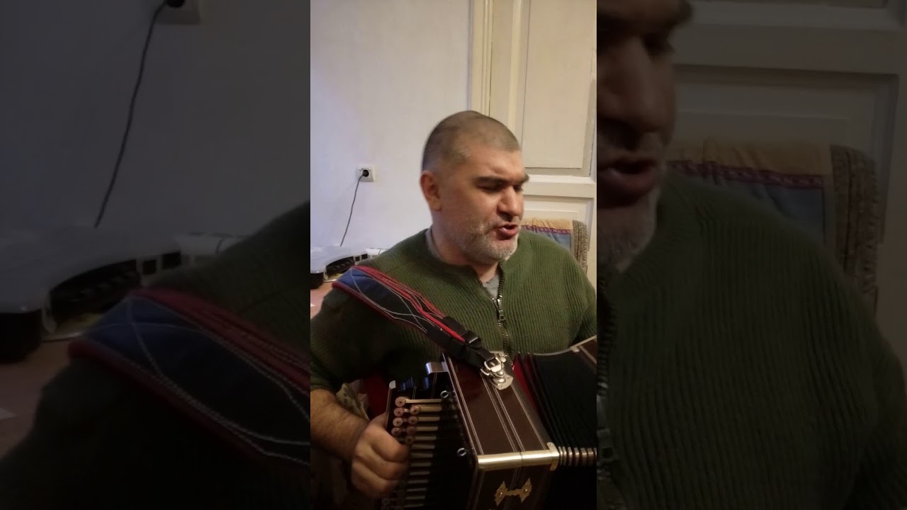 Червона рута. Вариант исполнения песни под Нижегородскую Гармонь. Для моей любимой.