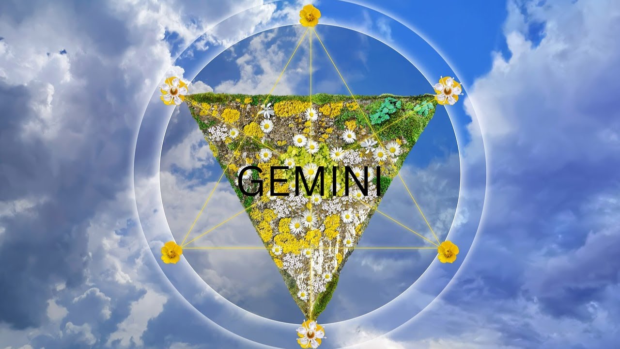 GEMINI👨🏼‍🤝‍👨🏿FIRM🏡 FOUNDATIONS INTERNALLY MATERIALIZE EXTERNALY☀️🌑