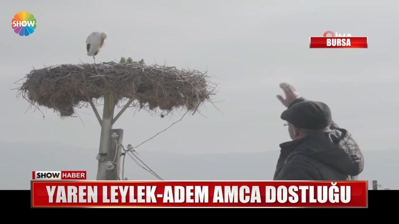 Yaren Leylek - Adem Amca dostluğu!