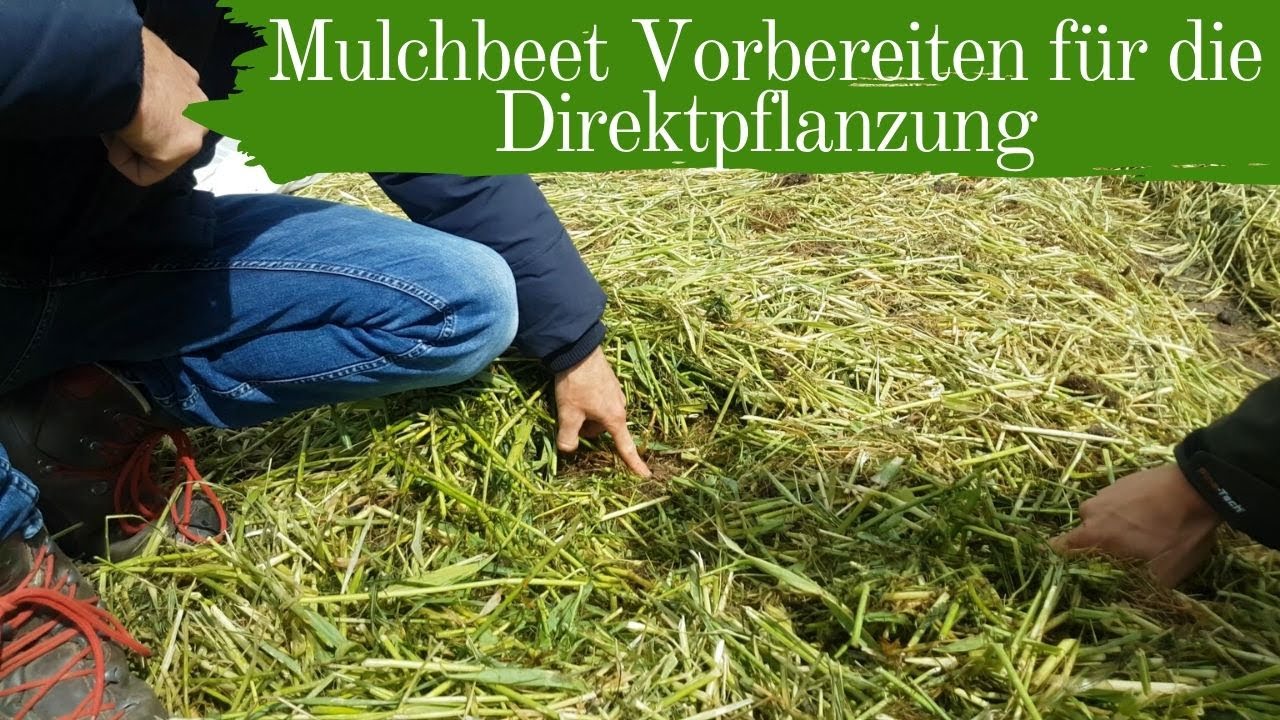 Mulchbeet Vorbereiten f&uuml;r die Direktpflanzung | Mulchgem&uuml;sebau | Biogem&uuml;sehof Dickendorf (2019)