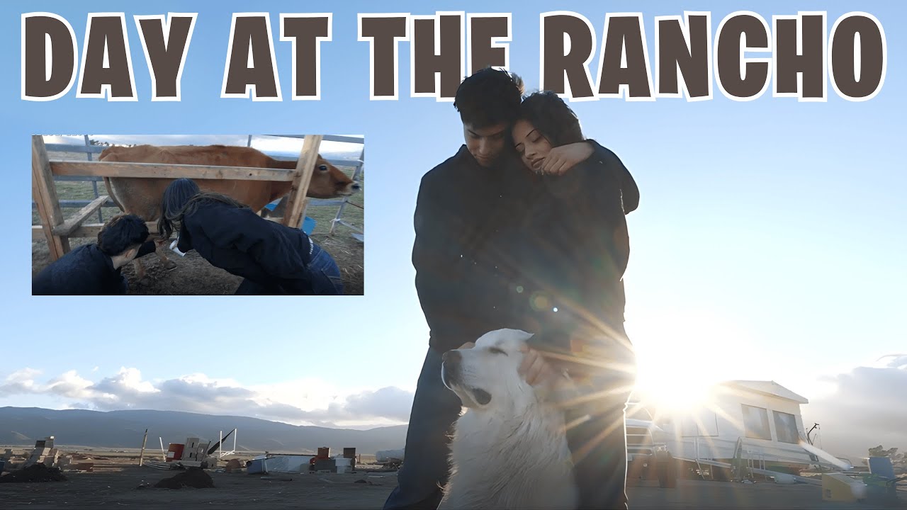 QUITTING SOCIAL MEDIA TO BECOME FARMERS | EVELYN AND YURNBOI AT THE RANCH 🤠🐄👩‍🌾