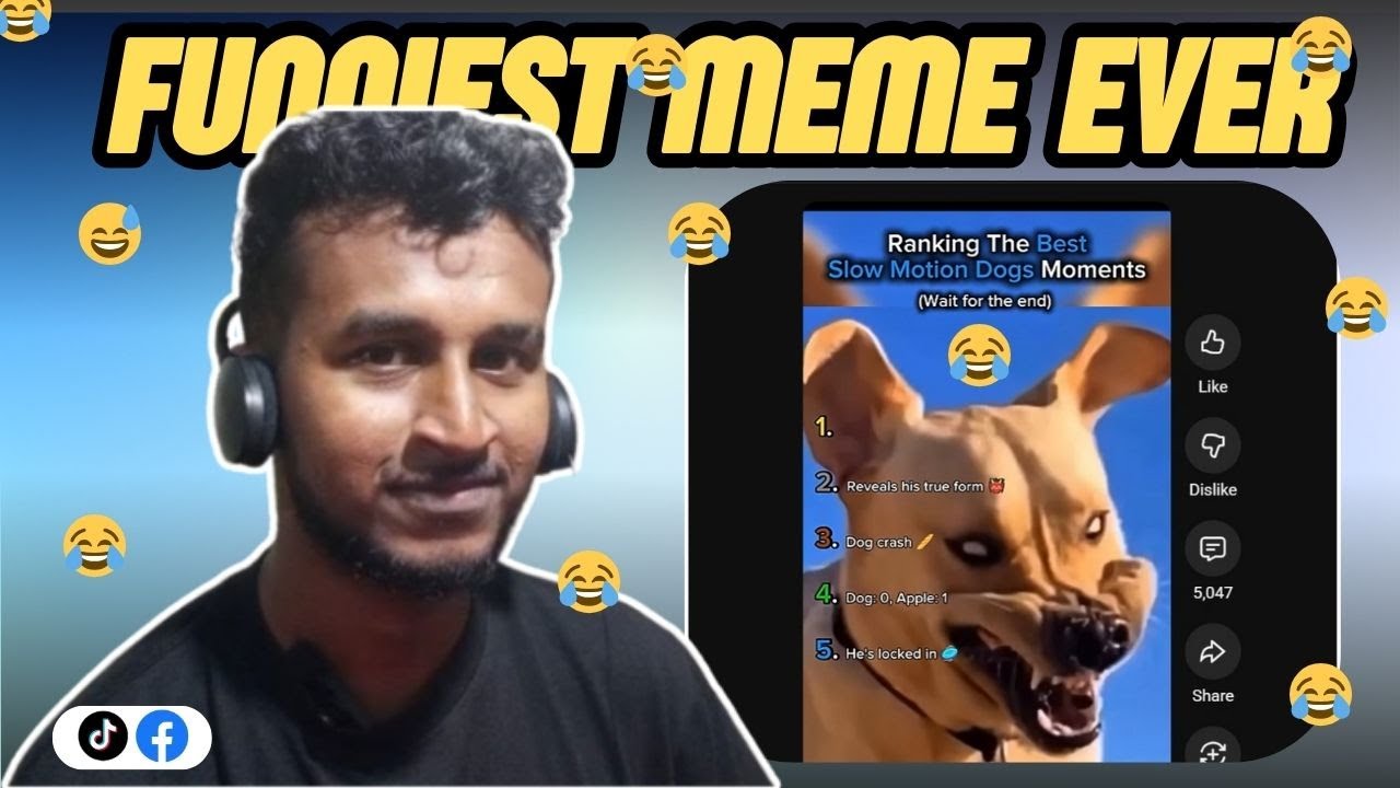 වරෙන් චිත්‍ර අදින්න 😂🐮✏️| Happo TV
