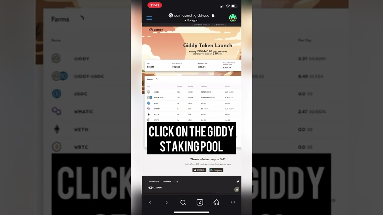 Giddy DeFi: How to Stake Giddy Coin
